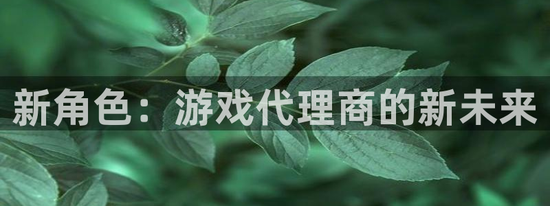 新角色：游戏代理商的新未来