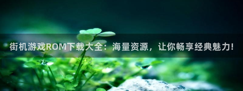 街机游戏ROM下载大全：海量资源，让你畅享经典魅力!