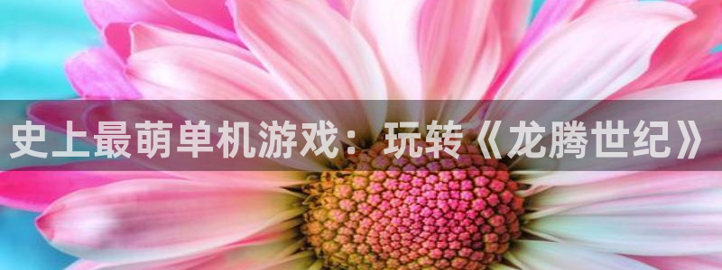  史上最萌单机游戏：玩转《龙腾世纪》