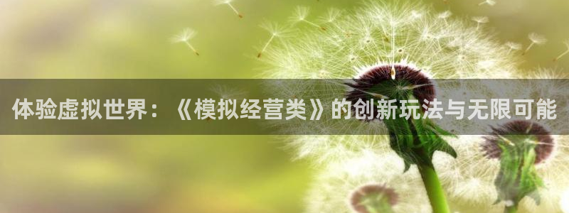  体验虚拟世界：《模拟经营类》的创新玩法与无限可能
