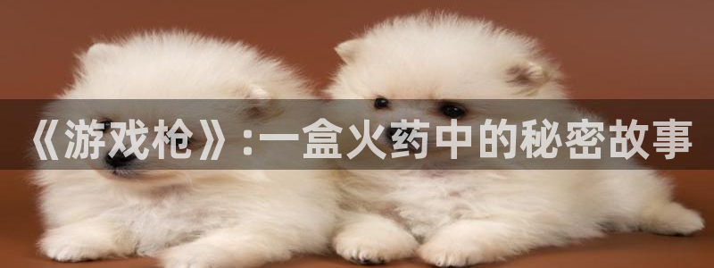  威廉希尔英文：《游戏枪》:一盒火药中的秘密故事