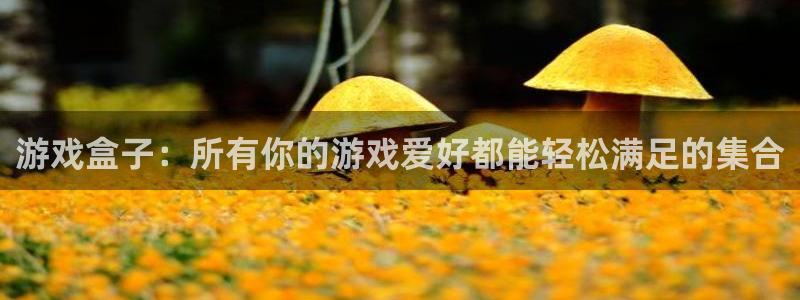  威廉希尔在中国有没有平台：游戏盒子：所有你的游戏爱好都能轻松
