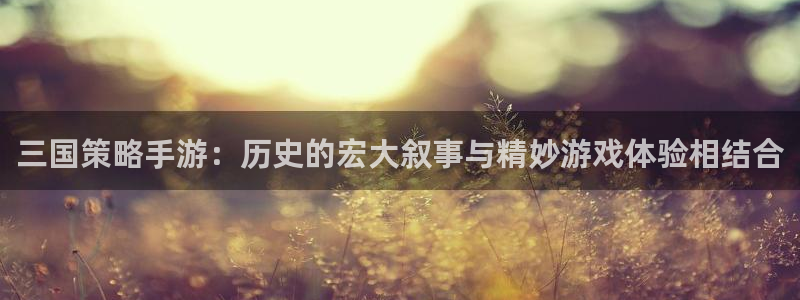  威廉希尔初赔：三国策略手游：历史的宏大叙事与精妙游戏体验相结