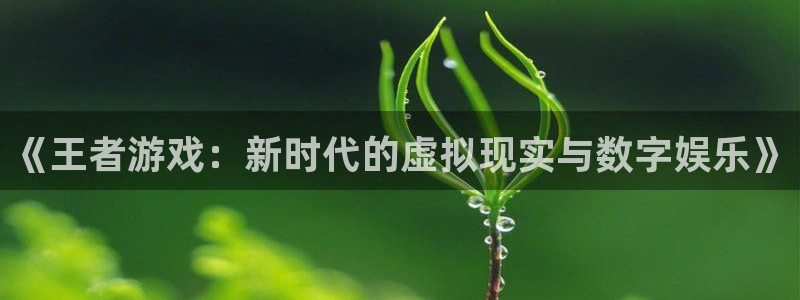  威廉希尔老板：《王者游戏：新时代的虚拟现实与数字娱乐》